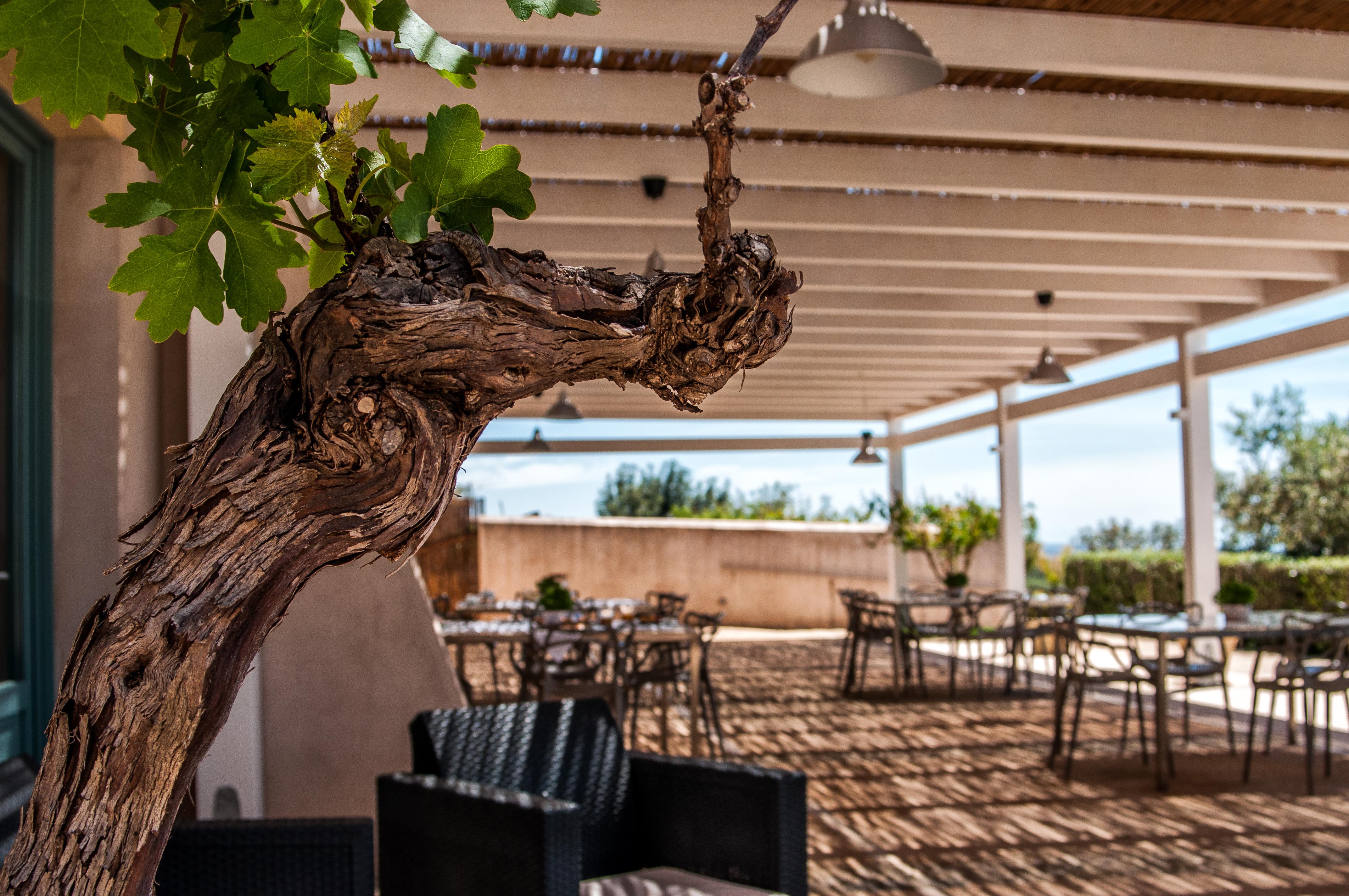 Hotel Relais Casina Miregia Menfi Zewnętrze zdjęcie
